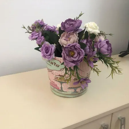 Studio Aleyan Luxury アパート ナボダリ